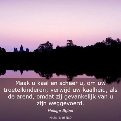Picture 03 - Micha 1:16 NLD - Maak u kaal en scheer u, om uw troetelkinderen; - Bible Verse Picture
