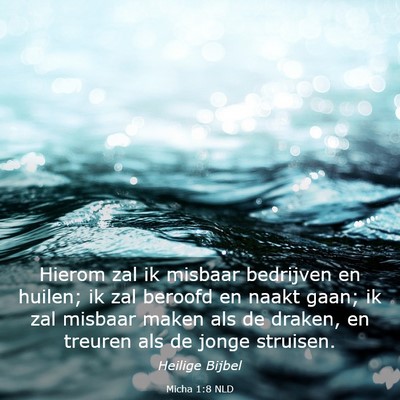 Picture 03 - Micha 1:8 NLD - Hierom zal ik misbaar bedrijven en huilen; ik zal - Bible Verse Picture