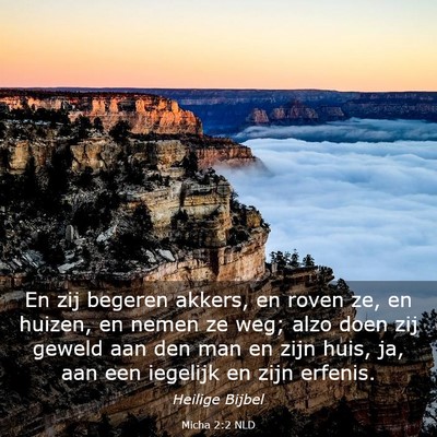 Picture 03 - Micha 2:2 NLD - En zij begeren akkers, en roven ze, en huizen, en - Bible Verse Picture