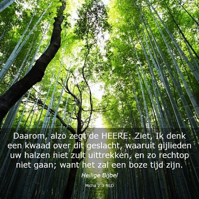 Picture 03 - Micha 2:3 NLD - Daarom, alzo zegt de HEERE: Ziet, Ik denk een - Bible Verse Picture