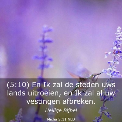 Picture 03 - Micha 5:11 NLD - (5:10) En Ik zal de steden uws lands uitroeien, - Bible Verse Picture