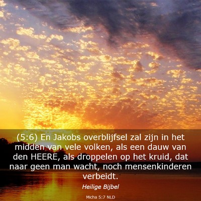 Picture 03 - Micha 5:7 NLD - (5:6) En Jakobs overblijfsel zal zijn in het - Bible Verse Picture
