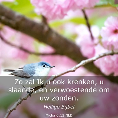 Picture 03 - Micha 6:13 NLD - Zo zal Ik u ook krenken, u slaande, en - Bible Verse Picture