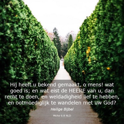 Picture 03 - Micha 6:8 NLD - Hij heeft u bekend gemaakt, o mens! wat goed is; - Bible Verse Picture