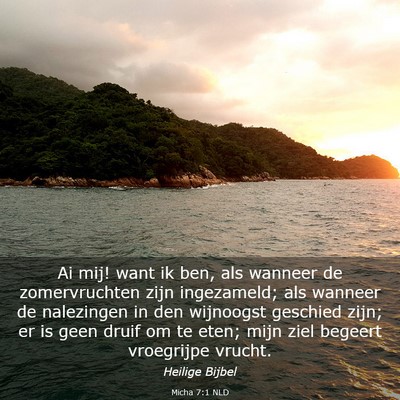 Picture 03 - Micha 7:1 NLD - Ai mij! want ik ben, als wanneer de zomervruchten - Bible Verse Picture
