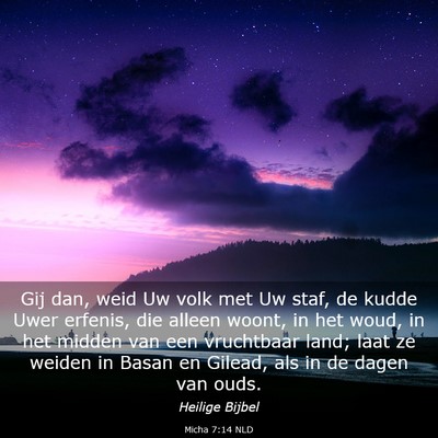Picture 03 - Micha 7:14 NLD - Gij dan, weid Uw volk met Uw staf, de kudde Uwer - Bible Verse Picture