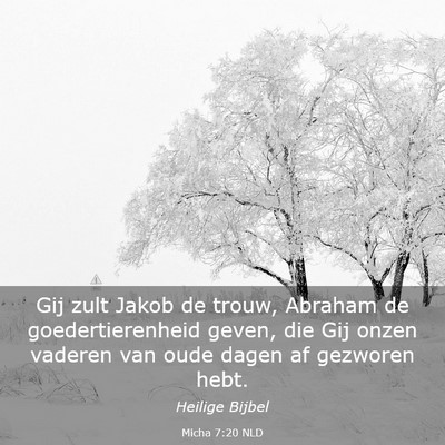 Picture 03 - Micha 7:20 NLD - Gij zult Jakob de trouw, Abraham de - Bible Verse Picture