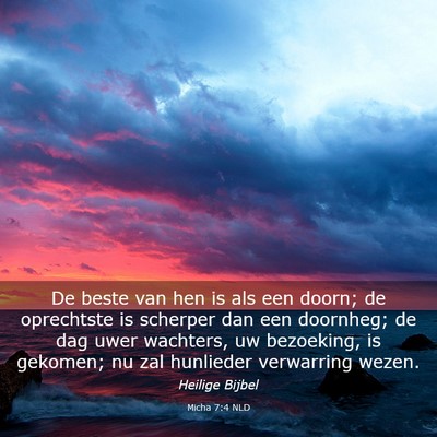 Picture 03 - Micha 7:4 NLD - De beste van hen is als een doorn; de oprechtste - Bible Verse Picture