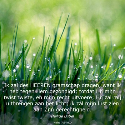 Picture 03 - Micha 7:9 NLD - Ik zal des HEEREN gramschap dragen, want ik heb - Bible Verse Picture