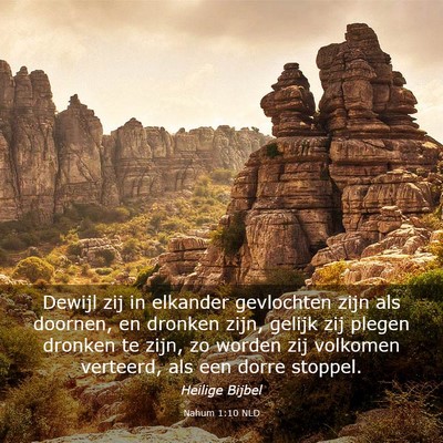 Picture 03 - Nahum 1:10 NLD - Dewijl zij in elkander gevlochten zijn als - Bible Verse Picture