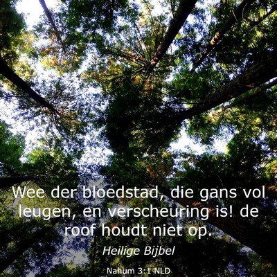 Picture 03 - Nahum 3:1 NLD - Wee der bloedstad, die gans vol leugen, en - Bible Verse Picture