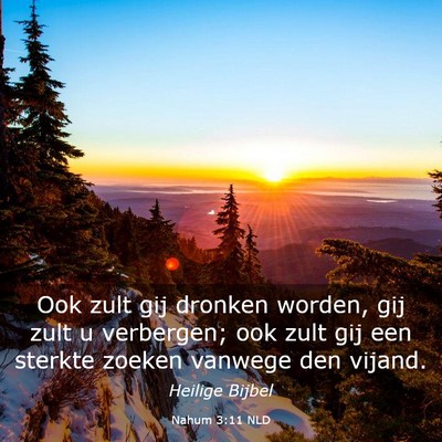 Picture 03 - Nahum 3:11 NLD - Ook zult gij dronken worden, gij zult u - Bible Verse Picture