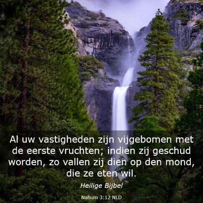 Picture 03 - Nahum 3:12 NLD - Al uw vastigheden zijn vijgebomen met de eerste - Bible Verse Picture