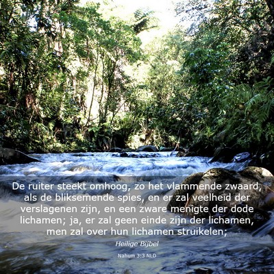 Picture 03 - Nahum 3:3 NLD - De ruiter steekt omhoog, zo het vlammende zwaard, - Bible Verse Picture