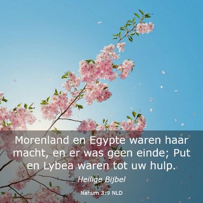 Picture 03 - Nahum 3:9 NLD - Morenland en Egypte waren haar macht, en er was - Bible Verse Picture
