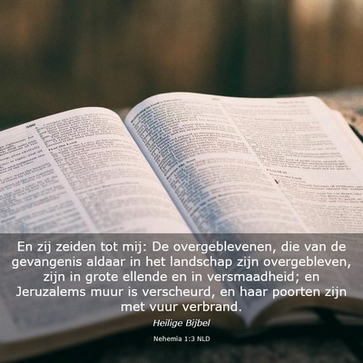 Picture 03 - Nehemia 1:3 NLD - En zij zeiden tot mij: De overgeblevenen, die van - Bible Verse Picture