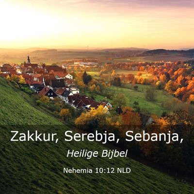 Picture 03 - Nehemia 10:12 NLD - Zakkur, Serebja, - Bible Verse Picture