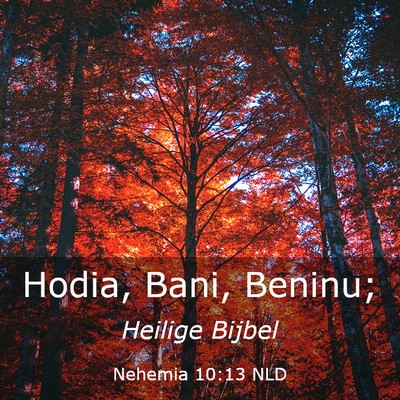 Picture 03 - Nehemia 10:13 NLD - Hodia, Bani, - Bible Verse Picture
