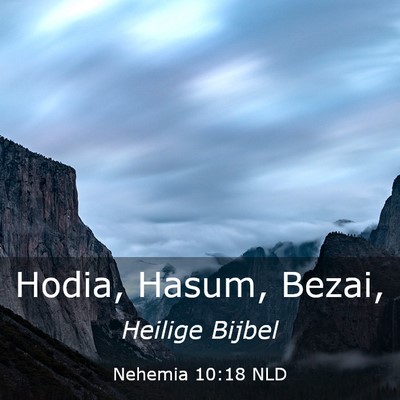 Picture 03 - Nehemia 10:18 NLD - Hodia, Hasum, - Bible Verse Picture