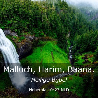 Picture 03 - Nehemia 10:27 NLD - Malluch, Harim, - Bible Verse Picture