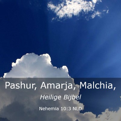 Picture 03 - Nehemia 10:3 NLD - Pashur, Amarja, - Bible Verse Picture
