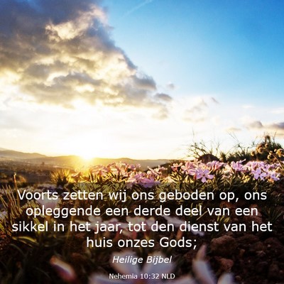 Picture 03 - Nehemia 10:32 NLD - Voorts zetten wij ons geboden op, ons opleggende - Bible Verse Picture