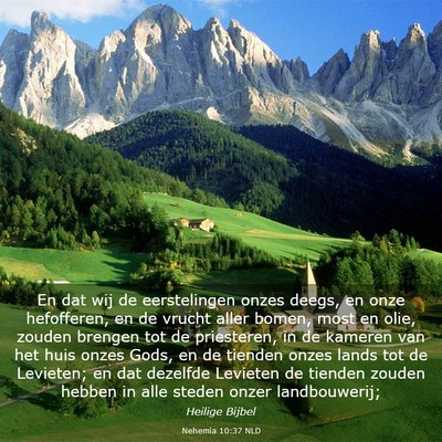 Picture 03 - Nehemia 10:37 NLD - En dat wij de eerstelingen onzes deegs, en onze - Bible Verse Picture