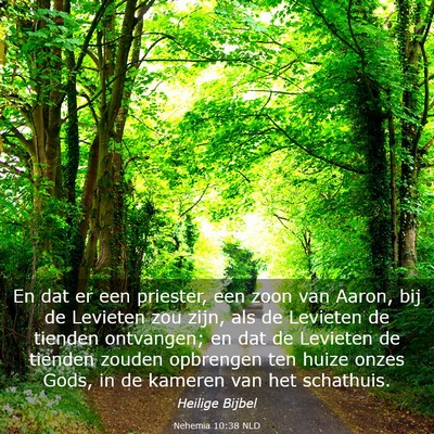 Picture 03 - Nehemia 10:38 NLD - En dat er een priester, een zoon van Aaron, bij - Bible Verse Picture