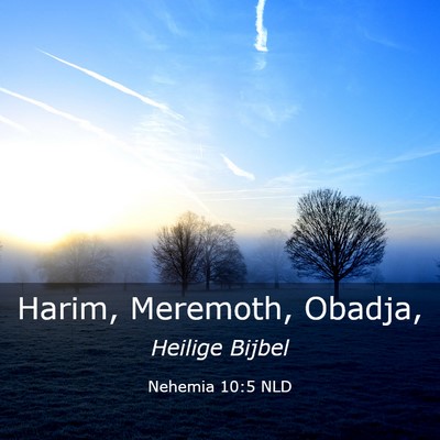 Picture 03 - Nehemia 10:5 NLD - Harim, Meremoth, - Bible Verse Picture