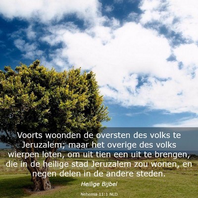 Picture 03 - Nehemia 11:1 NLD - Voorts woonden de oversten des volks te - Bible Verse Picture