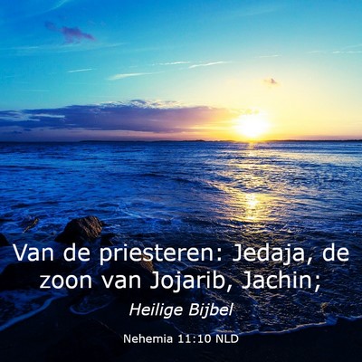 Picture 03 - Nehemia 11:10 NLD - Van de priesteren: Jedaja, de zoon van Jojarib, - Bible Verse Picture