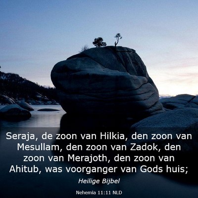 Picture 03 - Nehemia 11:11 NLD - Seraja, de zoon van Hilkia, den zoon van - Bible Verse Picture