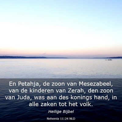 Picture 03 - Nehemia 11:24 NLD - En Petahja, de zoon van Mesezabeel, van de - Bible Verse Picture