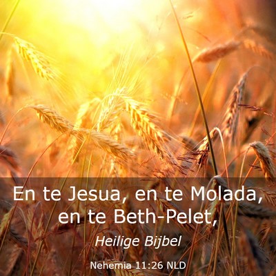 Picture 03 - Nehemia 11:26 NLD - En te Jesua, en te Molada, en te - Bible Verse Picture