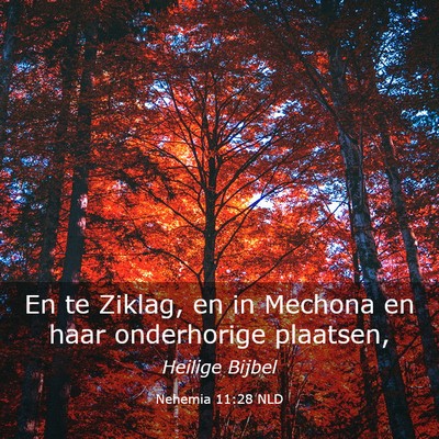 Picture 03 - Nehemia 11:28 NLD - En te Ziklag, en in Mechona en haar onderhorige - Bible Verse Picture