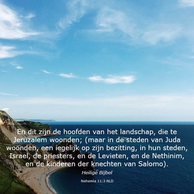Picture 03 - Nehemia 11:3 NLD - En dit zijn de hoofden van het landschap, die te - Bible Verse Picture