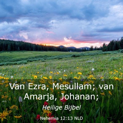 Picture 03 - Nehemia 12:13 NLD - Van Ezra, Mesullam; van Amarja, - Bible Verse Picture