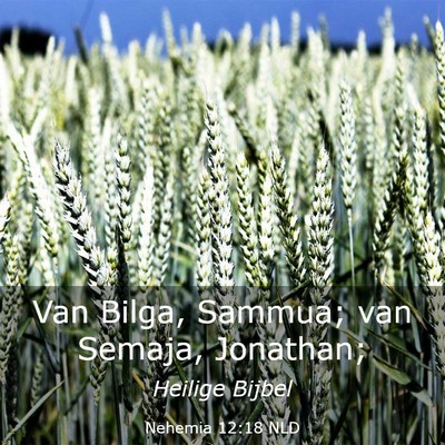 Picture 03 - Nehemia 12:18 NLD - Van Bilga, Sammua; van Semaja, - Bible Verse Picture