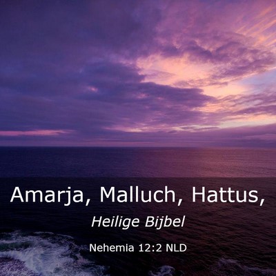 Picture 03 - Nehemia 12:2 NLD - Amarja, Malluch, - Bible Verse Picture