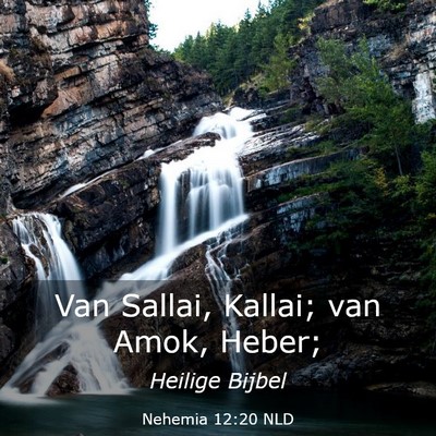 Picture 03 - Nehemia 12:20 NLD - Van Sallai, Kallai; van Amok, - Bible Verse Picture