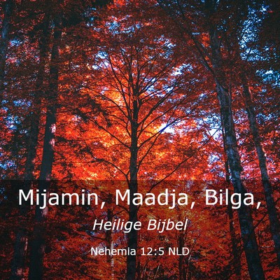 Picture 03 - Nehemia 12:5 NLD - Mijamin, Maadja, - Bible Verse Picture