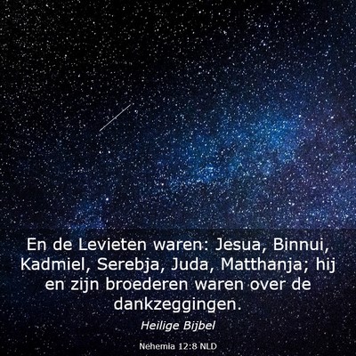 Picture 03 - Nehemia 12:8 NLD - En de Levieten waren: Jesua, Binnui, Kadmiel, - Bible Verse Picture