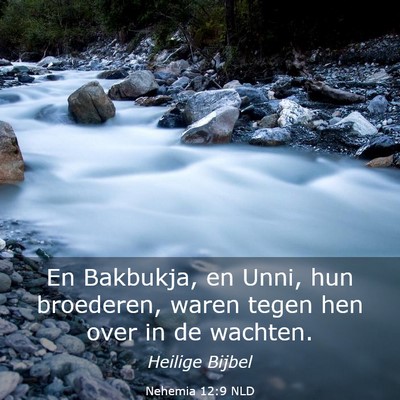 Picture 03 - Nehemia 12:9 NLD - En Bakbukja, en Unni, hun broederen, waren tegen - Bible Verse Picture