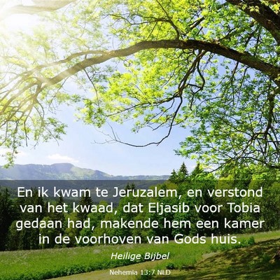 Picture 03 - Nehemia 13:7 NLD - En ik kwam te Jeruzalem, en verstond van het - Bible Verse Picture