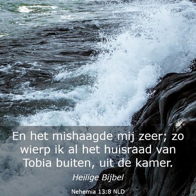 Picture 03 - Nehemia 13:8 NLD - En het mishaagde mij zeer; zo wierp ik al het - Bible Verse Picture