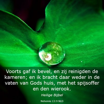 Picture 03 - Nehemia 13:9 NLD - Voorts gaf ik bevel, en zij reinigden de kameren; - Bible Verse Picture