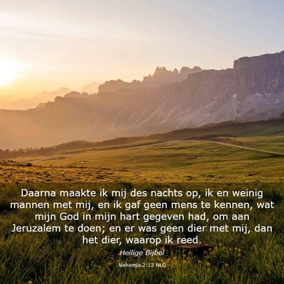 Picture 03 - Nehemia 2:12 NLD - Daarna maakte ik mij des nachts op, ik en weinig - Bible Verse Picture