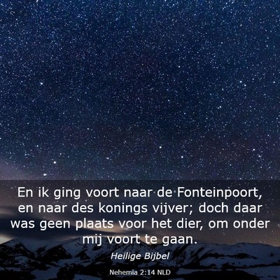Picture 03 - Nehemia 2:14 NLD - En ik ging voort naar de Fonteinpoort, en naar - Bible Verse Picture