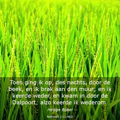 Picture 03 - Nehemia 2:15 NLD - Toen ging ik op, des nachts, door de beek, en ik - Bible Verse Picture