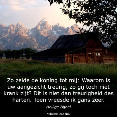 Picture 03 - Nehemia 2:2 NLD - Zo zeide de koning tot mij: Waarom is uw - Bible Verse Picture